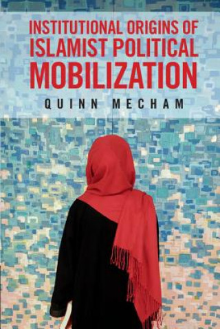 Buch Institutional Origins of Islamist Political Mobilization R. Quinn Mecham