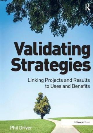 Boek Validating Strategies DRIVER