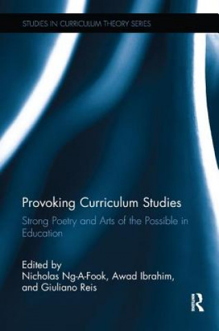 Kniha Provoking Curriculum Studies 