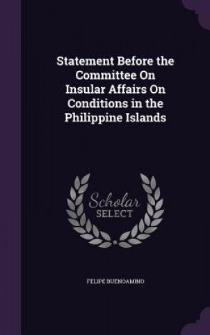 Knjiga STATEMENT BEFORE THE COMMITTEE ON INSULA FELIPE BUENOAMINO