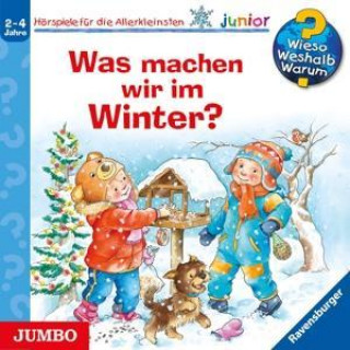 Audio Was Machen Wir Im Winter? (58) Wieso? Weshalb? Warum? Junior/Elskis/Bareither/Bar