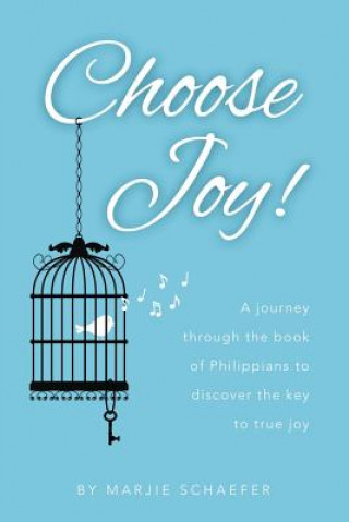 Knjiga Choose Joy Marjie L Schaefer