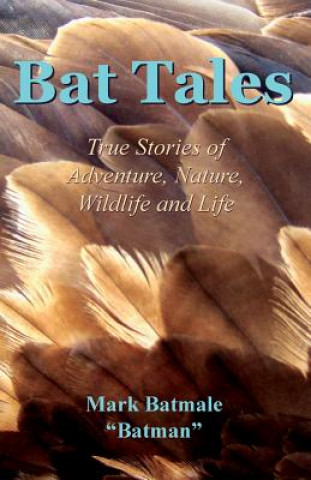 Livre Bat Tales Mark Batmale