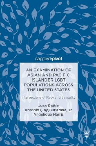Kniha Examination of Asian and Pacific Islander LGBT Populations Across the United States Juan Battle