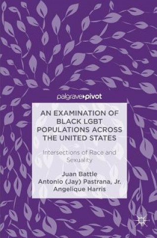 Kniha Examination of Black LGBT Populations Across the United States Juan Battle