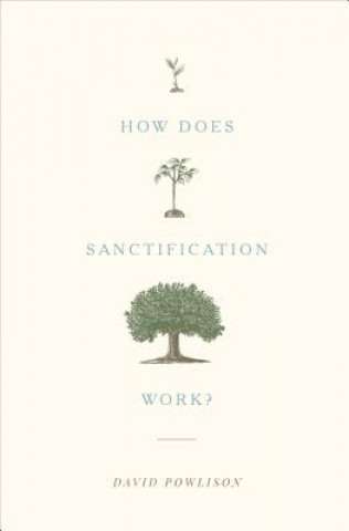 Knjiga How Does Sanctification Work? David Powlison