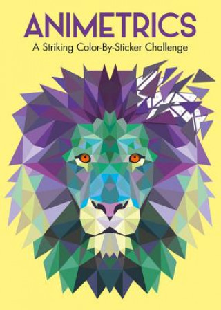 Kniha Animetrics: A Striking Color-By-Sticker Challenge Richard Merritt
