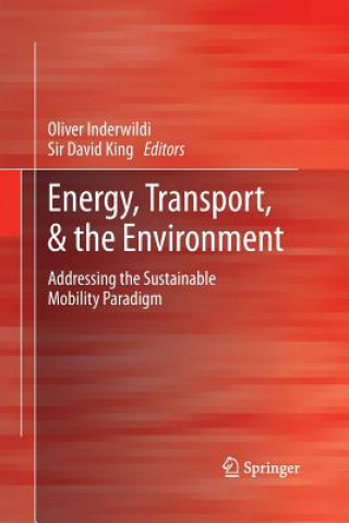 Kniha Energy, Transport, & the Environment Oliver Inderwildi