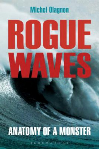 Book Rogue Waves Michael Olagnon