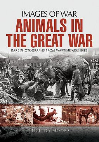 Könyv Animals in the Great War Lucinda Moore
