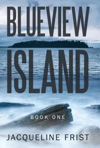 Buch Blueview Island Jacqueline Frist