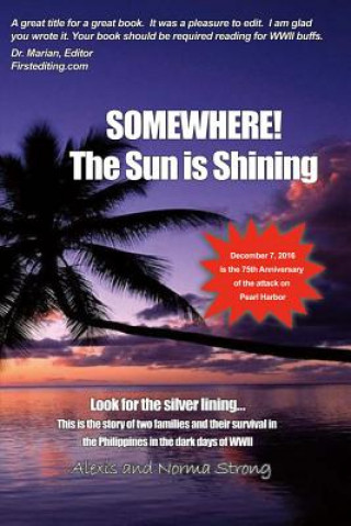 Kniha Somewhere the Sun Is Shining: Look for the Silver Liningvolume 1 Alexis Strong