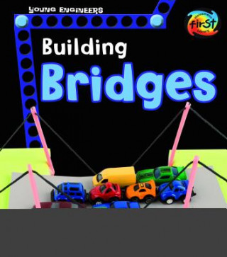 Knjiga Building Bridges Tammy Enz