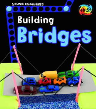 Buch Building Bridges Tammy Enz