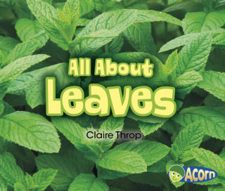 Livre All about Leaves Claire Throp