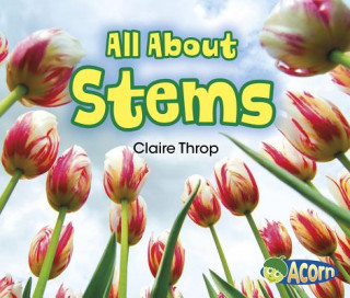 Könyv All about Stems Claire Throp
