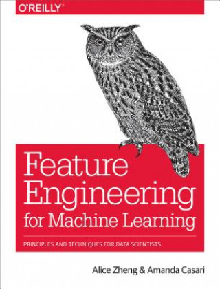 Книга Feature Engineering for Machine Learning Alice Zheng