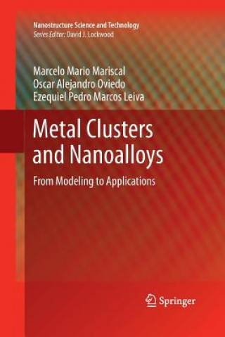 Carte Metal Clusters and Nanoalloys Marcelo Mario Mariscal