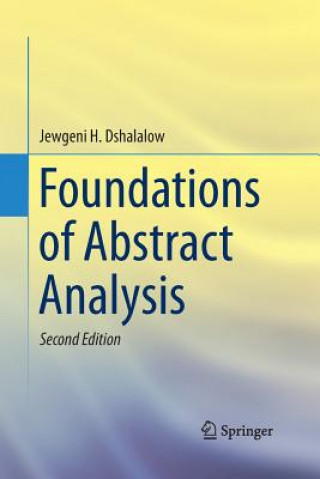 Kniha Foundations of Abstract Analysis Jewgeni H. Dshalalow