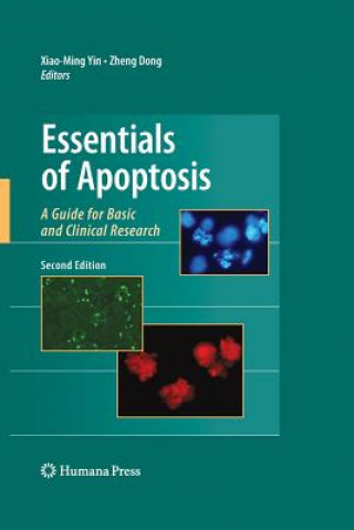 Książka Essentials of Apoptosis Xiao-Ming Yin