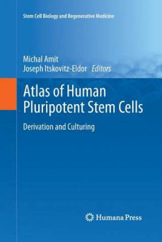 Kniha Atlas of Human Pluripotent Stem Cells Michal Amit