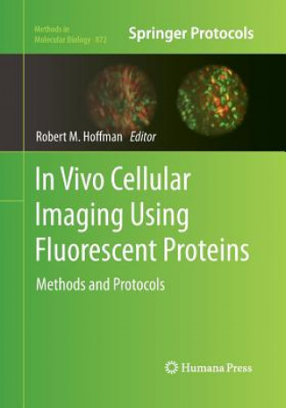 Könyv In Vivo Cellular Imaging Using Fluorescent Proteins Robert M. Hoffman