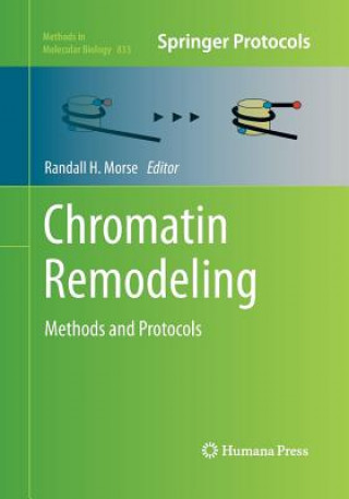 Książka Chromatin Remodeling Randall H. Morse