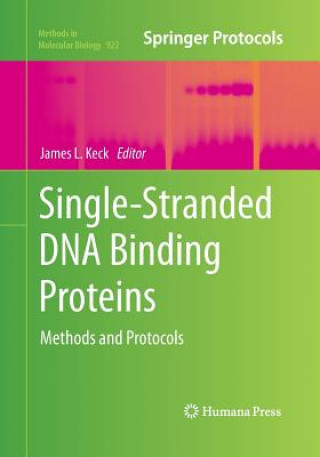 Könyv Single-Stranded DNA Binding Proteins James L. Keck