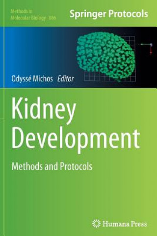 Книга Kidney Development Odyss Michos