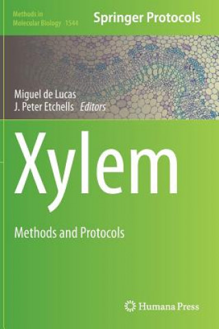 Kniha Xylem Miguel de Lucas