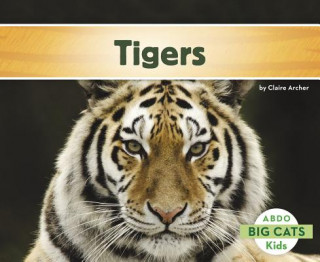 Kniha Tigers Claire Archer