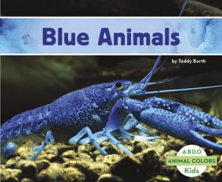 Livre Blue Animals Teddy Borth