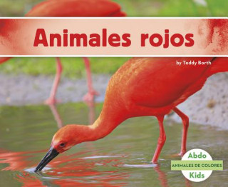 Книга Animales Rojos Teddy Borth
