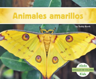 Boek Animales Amarillos Teddy Borth