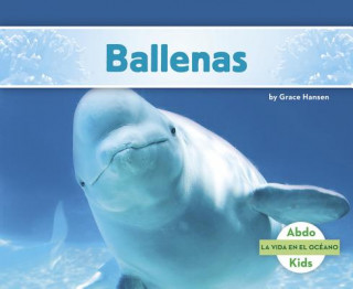 Buch Ballenas Grace Hansen