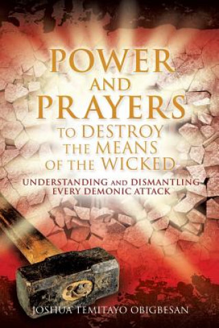 Kniha Power and Prayers to Destroy the Means of the Wicked Joshua Temitayo Obigbesan