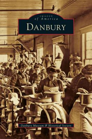 Book Danbury Danbury Historical Society