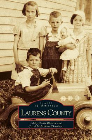 Книга Laurens County Libby Coats Rhodes
