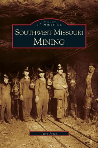 Kniha Southwest Missouri Mining Jerry Pryor