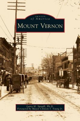 Libro Mount Vernon Larry H. Spruill