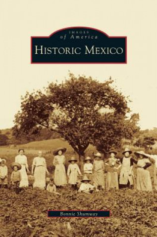 Книга Historic Mexico Bonnie Shumway