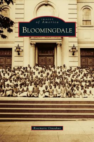 Buch Bloomingdale Rosemarie Onwukwe