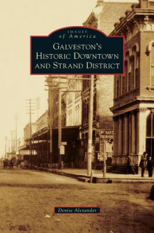 Книга Galveston's Historic Downtown and Strand District Denise Alexander