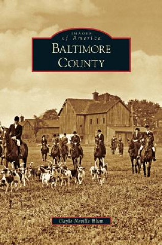 Kniha Baltimore County Gayle Neville Blum