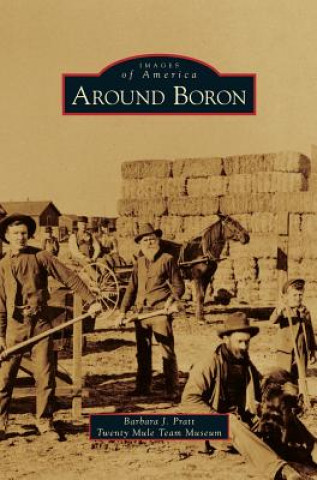 Kniha Around Boron Barbara J. Pratt