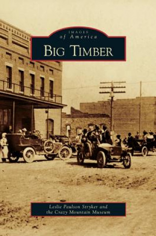 Knjiga Big Timber Leslie Paulson Stryker