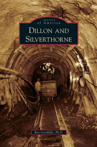 Könyv Dillon and Silverthorne Roy Goodliffe