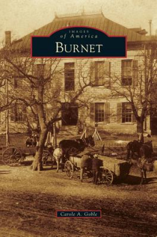 Book Burnet Carole A. Goble