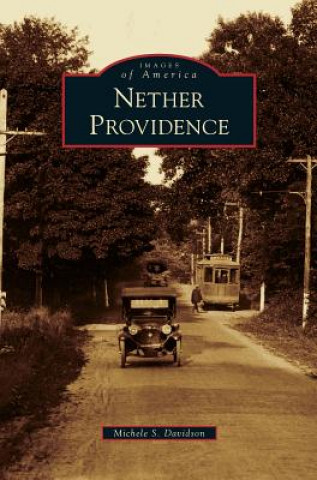 Kniha Nether Providence Michele S. Davidson