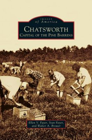 Книга Chatsworth Ellen V. Fayer